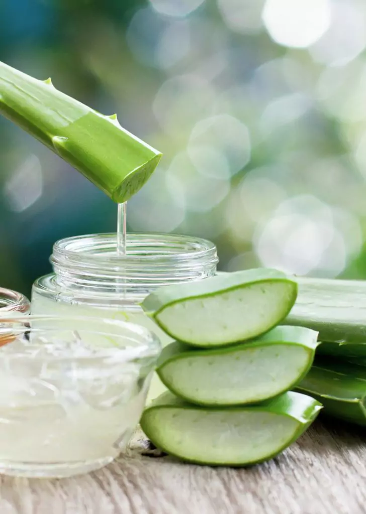 Aloe Vera As A Moisturizer