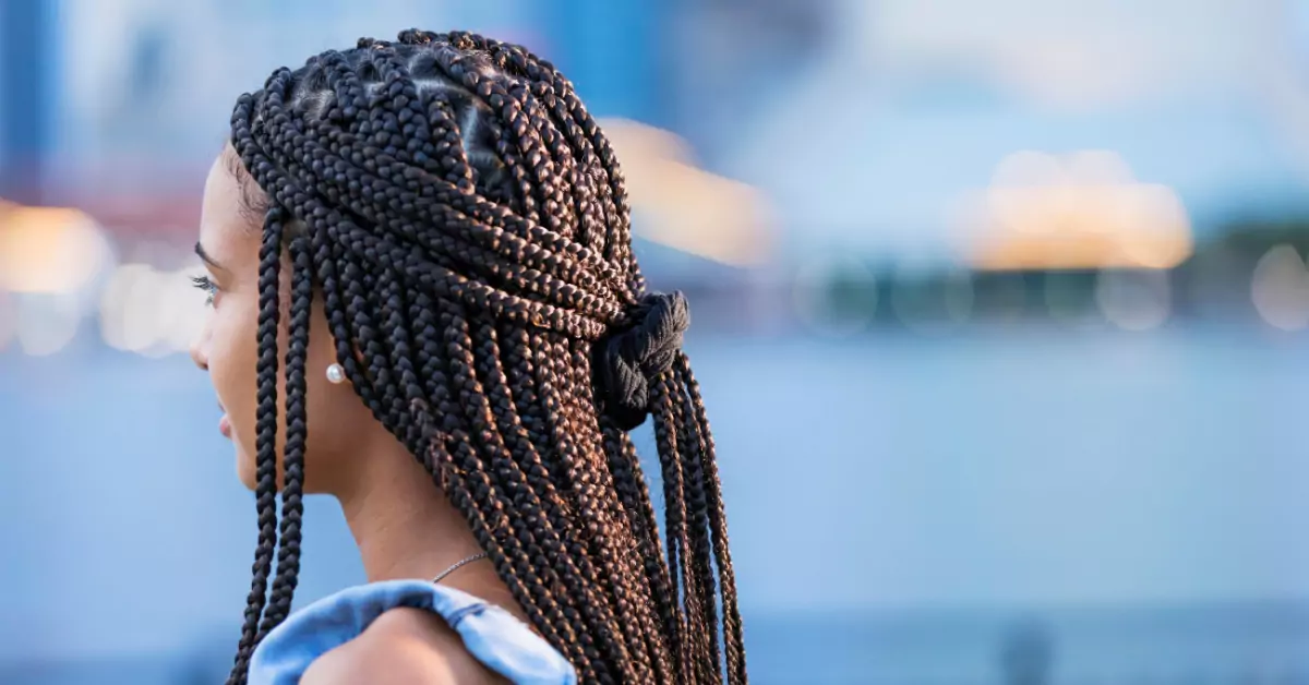 Beautiful Jayda Wayda Fulani Braids